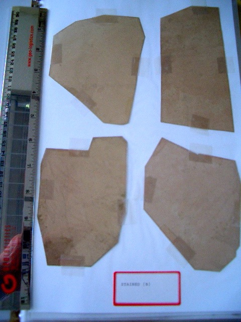 Loading Image